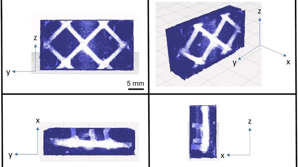 BC_vascular_building_materials