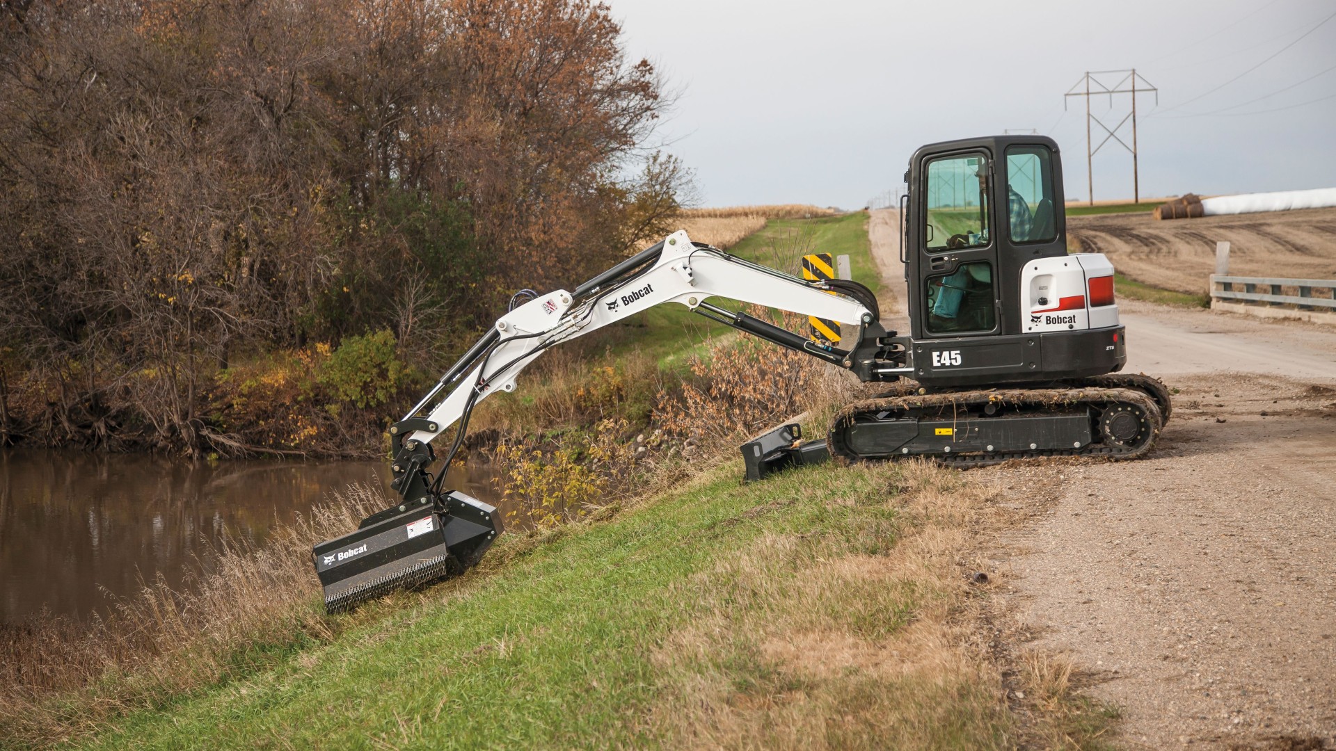 BC_Bobcat_été