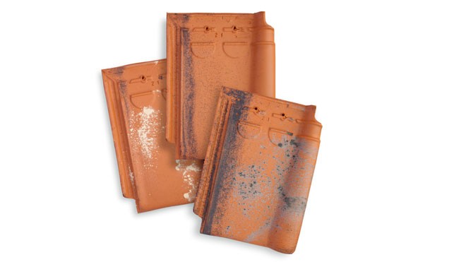 WB_BE_MKT_PHOT_PRSH_ROO_STORMPAN-44-OUD-LATEM-ROOD-879_001