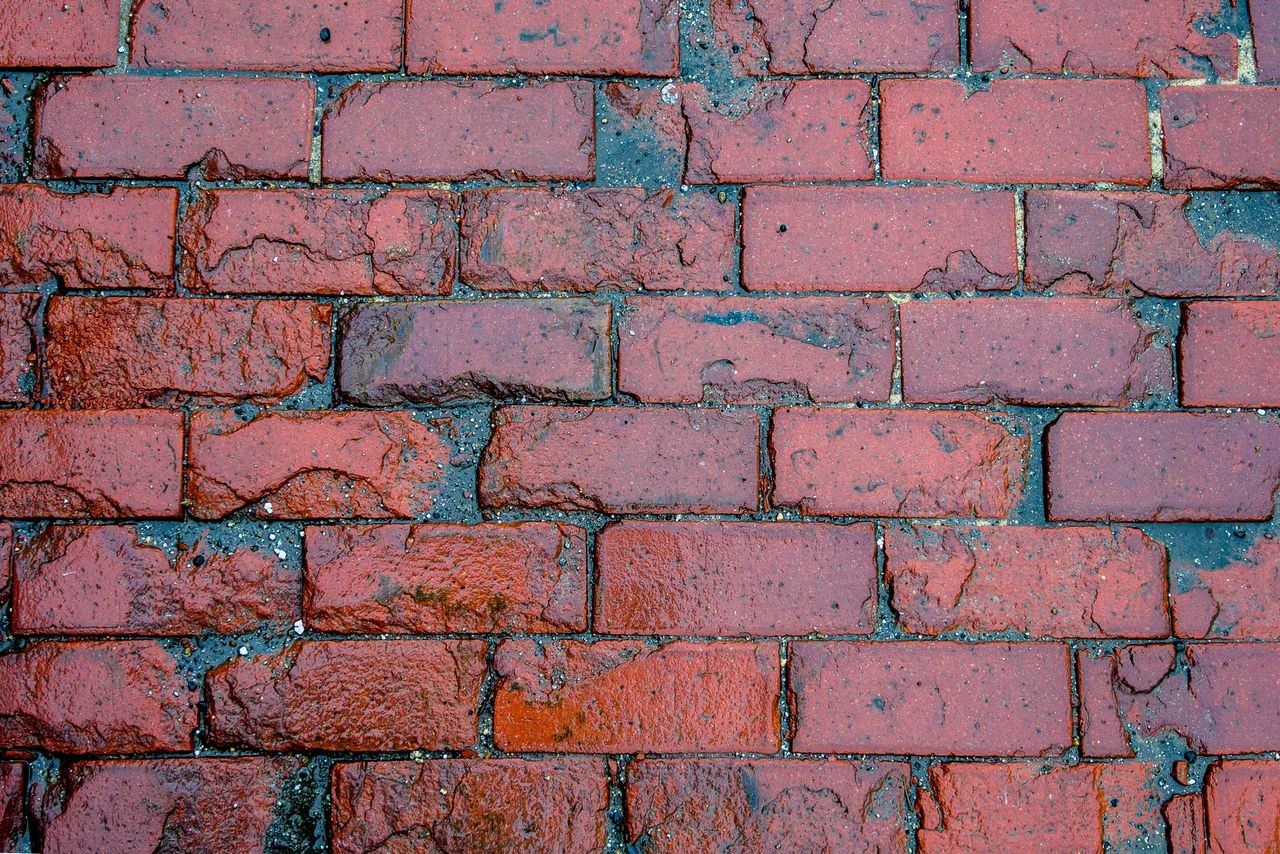 pexels-frank-cone-140140-3618480