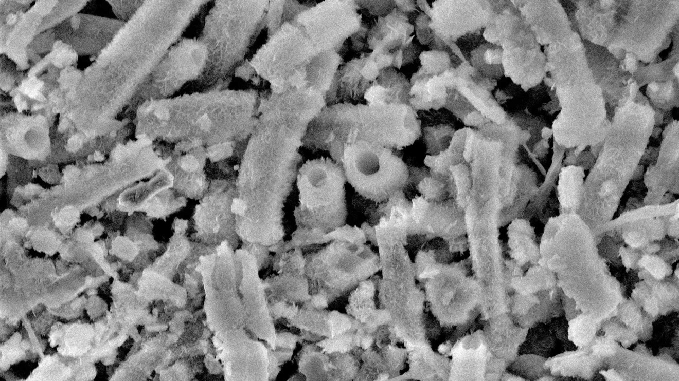 CaCO3-kristallen-(tunnelachtige-structuur)-gevormd-rond-de-hyphae-van-de-schimmel---Scanning-Electron-Microscopy