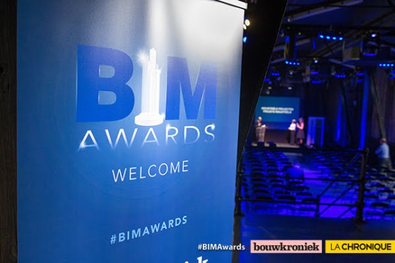 BIM Awards 2017